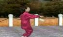 杨式56式太极剑教学 李德印 范雪萍