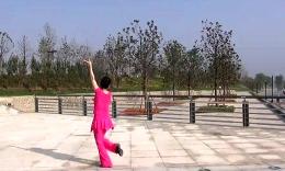 沭河之光广场舞原创《月亮传奇》正背面演示分