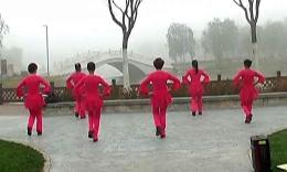 冰美人广场舞《dj等爱的玫瑰》32步_舞蹈视频