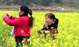 的草的视频空间_青青的草的视频专辑、相册_