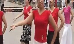 2014最新中老年广场舞视频大全 广场舞歌曲 太