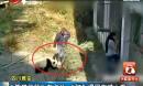四川熊猫幼崽遭饲养员虐待 多人围观